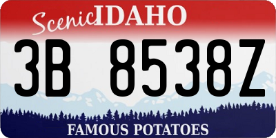 ID license plate 3B8538Z