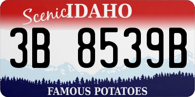 ID license plate 3B8539B
