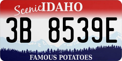 ID license plate 3B8539E