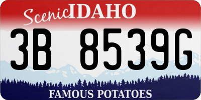 ID license plate 3B8539G