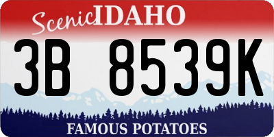 ID license plate 3B8539K