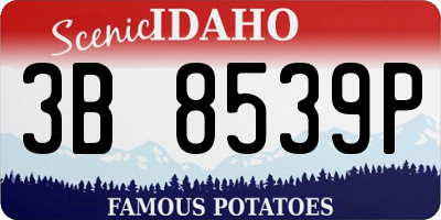 ID license plate 3B8539P