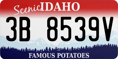 ID license plate 3B8539V