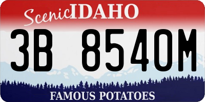 ID license plate 3B8540M