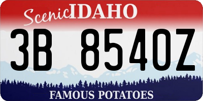 ID license plate 3B8540Z