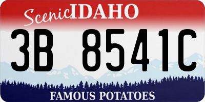 ID license plate 3B8541C