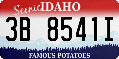 ID license plate 3B8541I