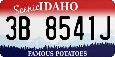 ID license plate 3B8541J