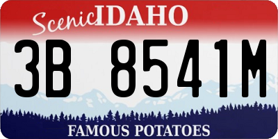 ID license plate 3B8541M