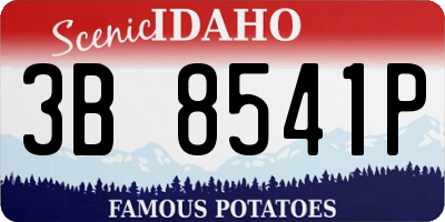 ID license plate 3B8541P