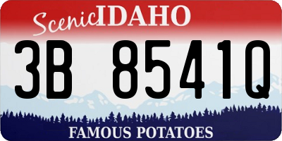ID license plate 3B8541Q