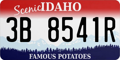 ID license plate 3B8541R