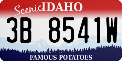 ID license plate 3B8541W