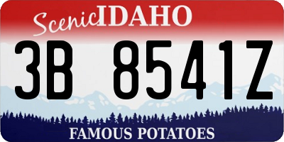 ID license plate 3B8541Z