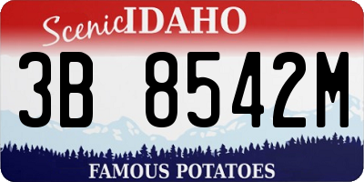 ID license plate 3B8542M