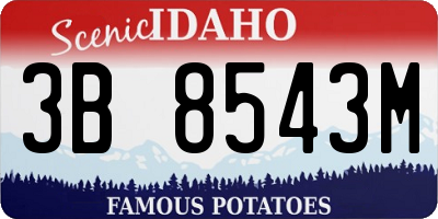 ID license plate 3B8543M