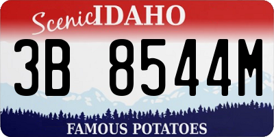 ID license plate 3B8544M