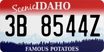 ID license plate 3B8544Z
