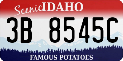 ID license plate 3B8545C