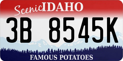 ID license plate 3B8545K