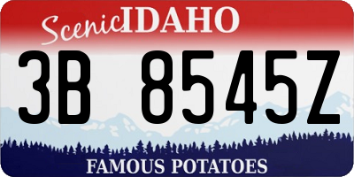ID license plate 3B8545Z