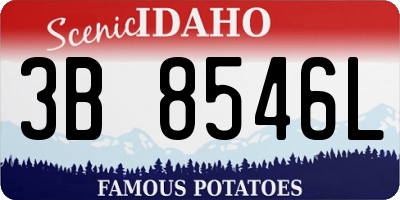 ID license plate 3B8546L