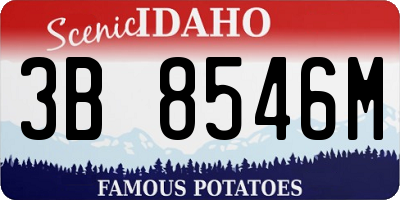 ID license plate 3B8546M