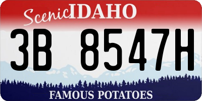 ID license plate 3B8547H
