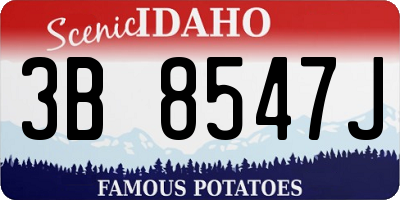 ID license plate 3B8547J
