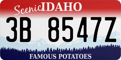 ID license plate 3B8547Z