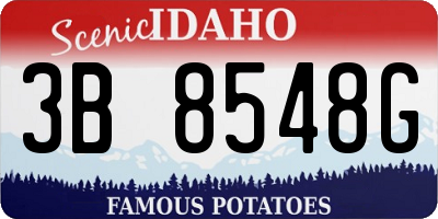 ID license plate 3B8548G