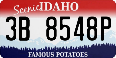 ID license plate 3B8548P