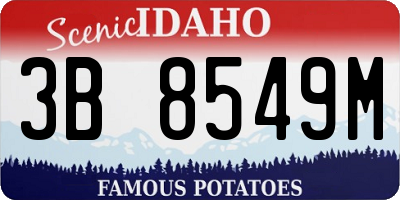 ID license plate 3B8549M