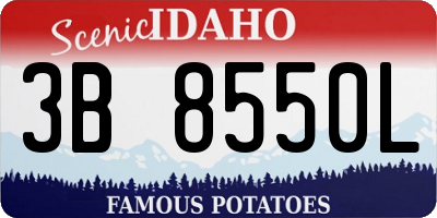 ID license plate 3B8550L