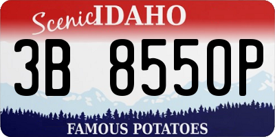 ID license plate 3B8550P