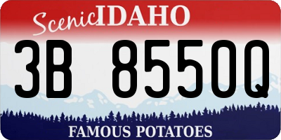 ID license plate 3B8550Q