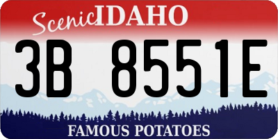 ID license plate 3B8551E