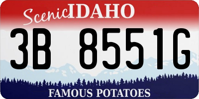 ID license plate 3B8551G