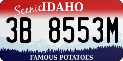 ID license plate 3B8553M