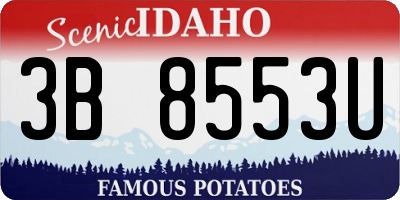 ID license plate 3B8553U