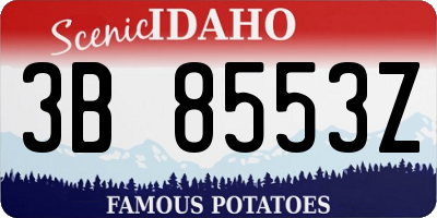 ID license plate 3B8553Z