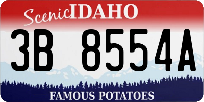 ID license plate 3B8554A
