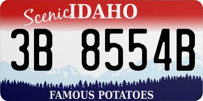 ID license plate 3B8554B
