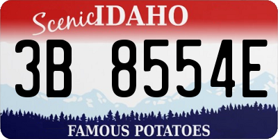 ID license plate 3B8554E