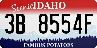 ID license plate 3B8554F