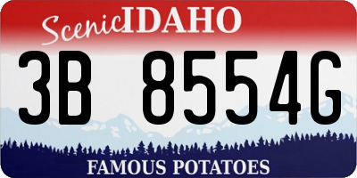 ID license plate 3B8554G