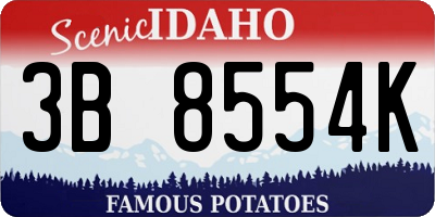 ID license plate 3B8554K