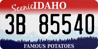 ID license plate 3B8554O