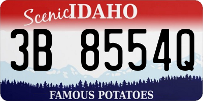 ID license plate 3B8554Q