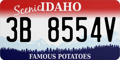 ID license plate 3B8554V